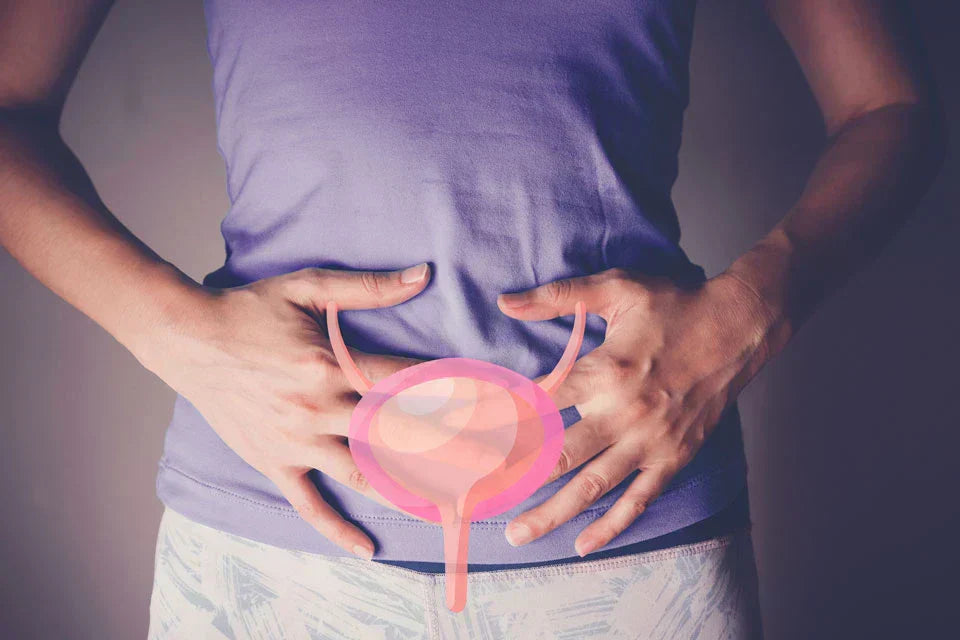 Honeymoon-Zystitis: Wenn die Blase nach dem Sex rebelliert