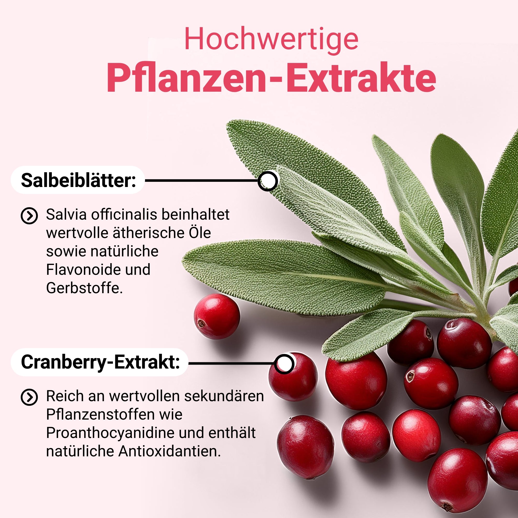 Döderlein® CystoBiotic