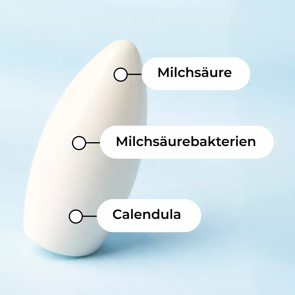 Ein weißes, ovales Objekt ist mit drei Begriffen auf Deutsch beschriftet: Milchsäure, Milchsäurebakterien und Ringelblume, die jeweils auf verschiedene Bereiche des Objekts zeigen.