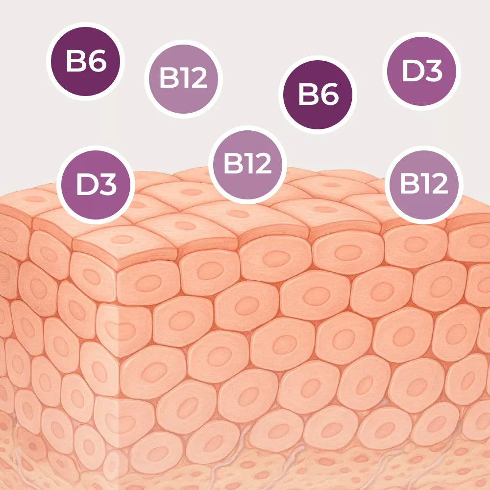 Abbildung von Hautzellen mit violetten und weißen Kreisen, die mit „B6“, „B12“ und „D3“ beschriftet sind und für die Hautgesundheit wichtige Vitamine darstellen.
